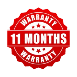 11-months-ar
